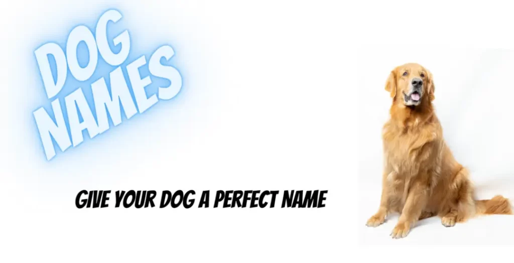 Pet Dog Names