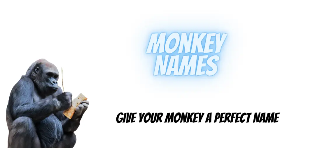 Pet Monkey Names