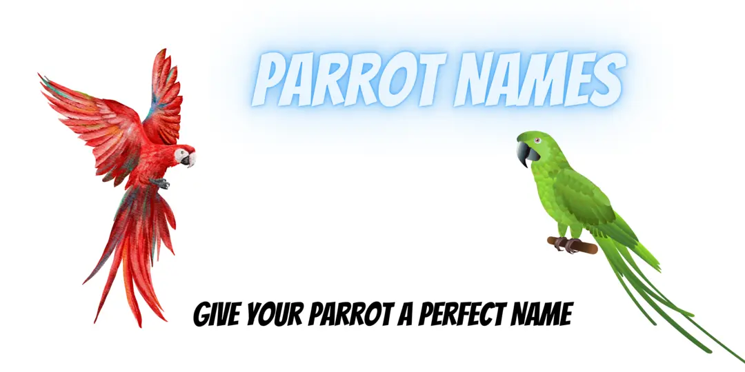 Choose a Perfect Parrot Name