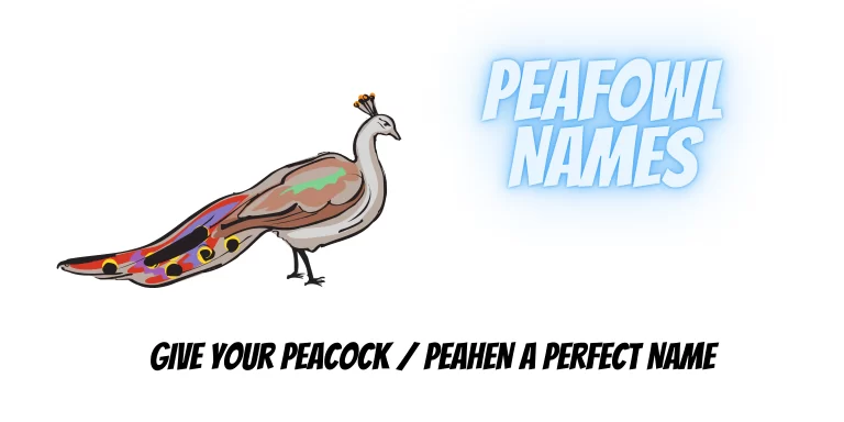 Peafowl Names