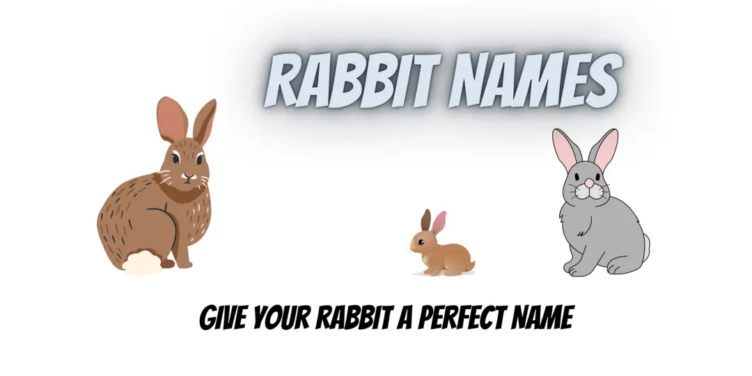 Bunny Names