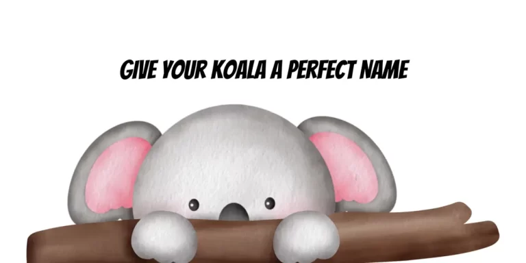 Koala Names