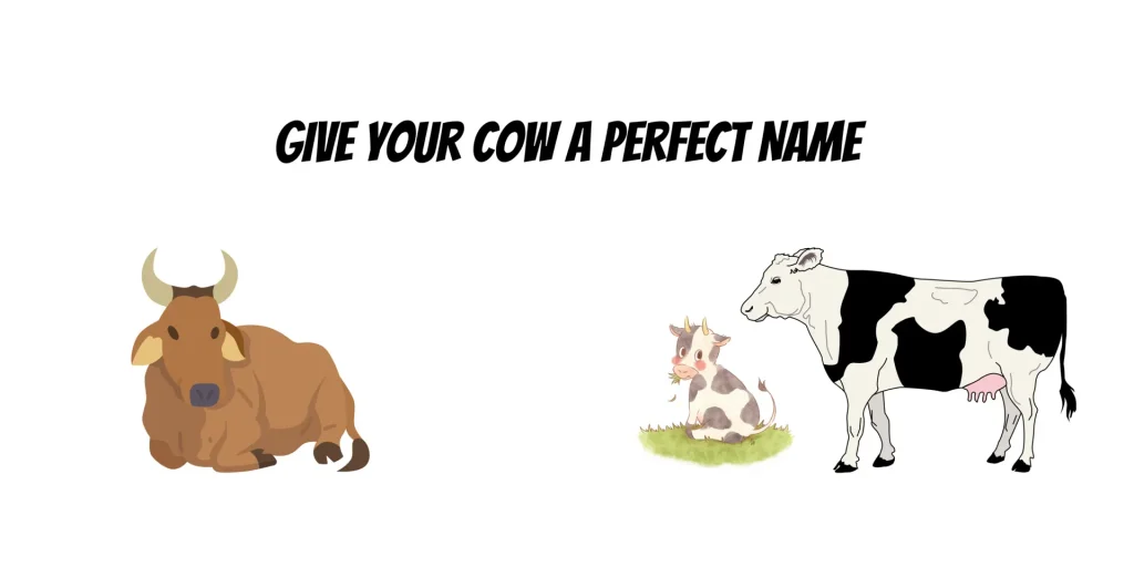 Cattle Names