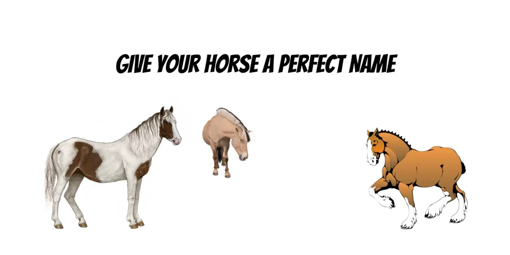 Naming a Horse