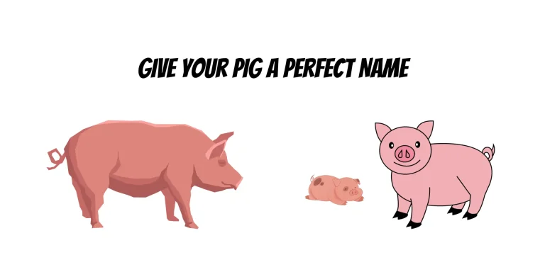 Pig Names